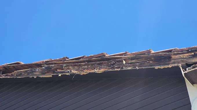 Asphalt shingle roof with widespread hail impact marks and granule loss – Chicago Hail Claims hail damage example.